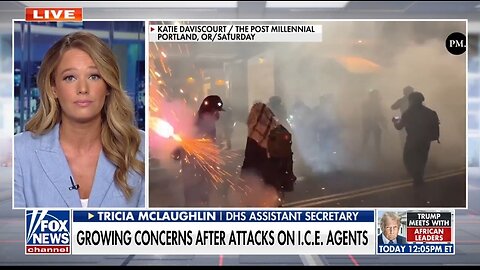DHS Assistant Secretary: Democrats, Media Are Normalizing Violence