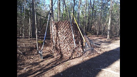 DIY Leaf Compost 3/6/25