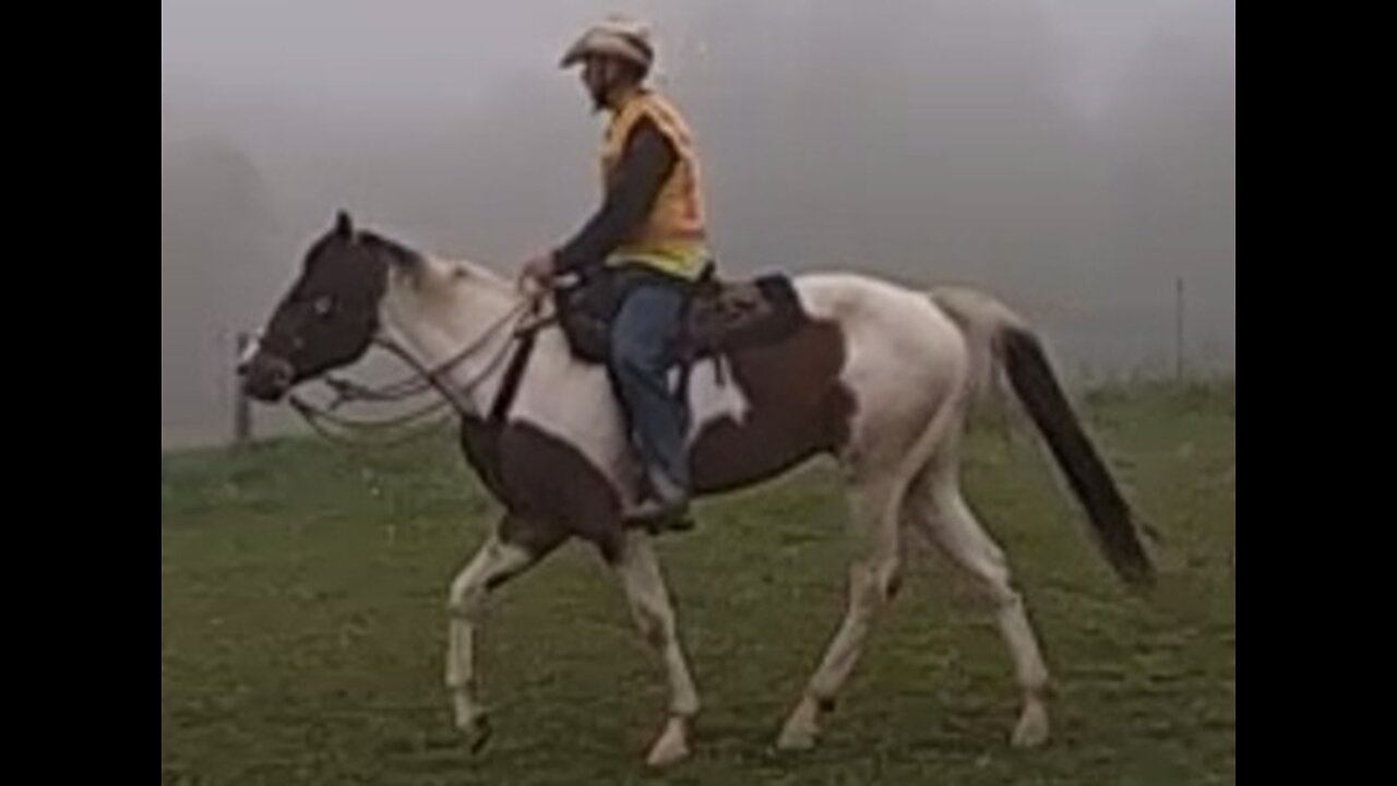 Oakley - eighth ride - seventh ride under saddle 14 May 2025