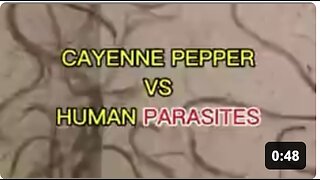 Cayenne Pepper Destroying Parasites (under the microscope)