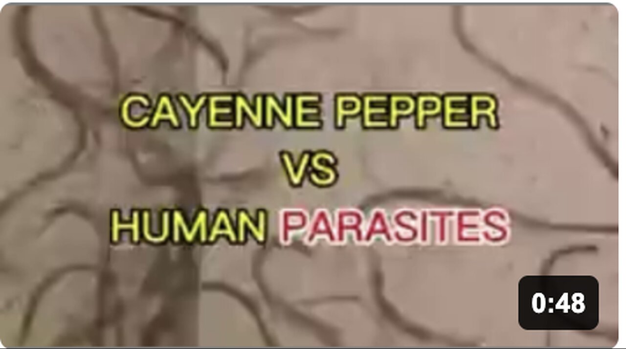 Cayenne Pepper Destroying Parasites (under the microscope)