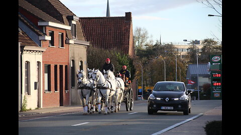 2016 Belgium: De Wingensesteenweg in Tielt