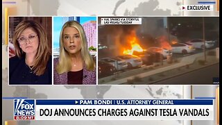 AG Bondi: We Will Protect Tesla Owners!