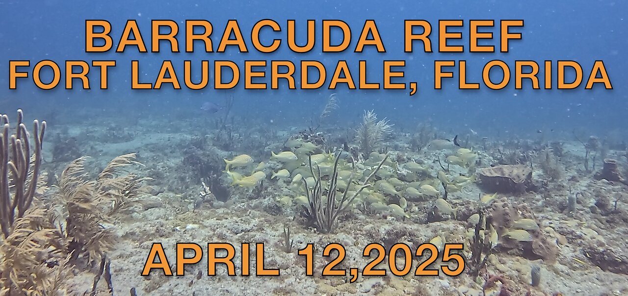 SCUBA Diving Barracuda Reef in Fort Lauderdale, Florida