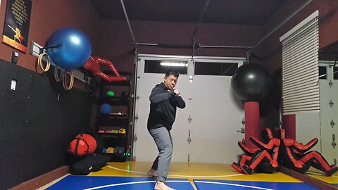 WTD 2 Step Kick Combination 58