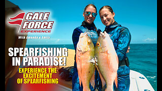 Spearfishing in Paradise!