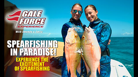 Spearfishing in Paradise!