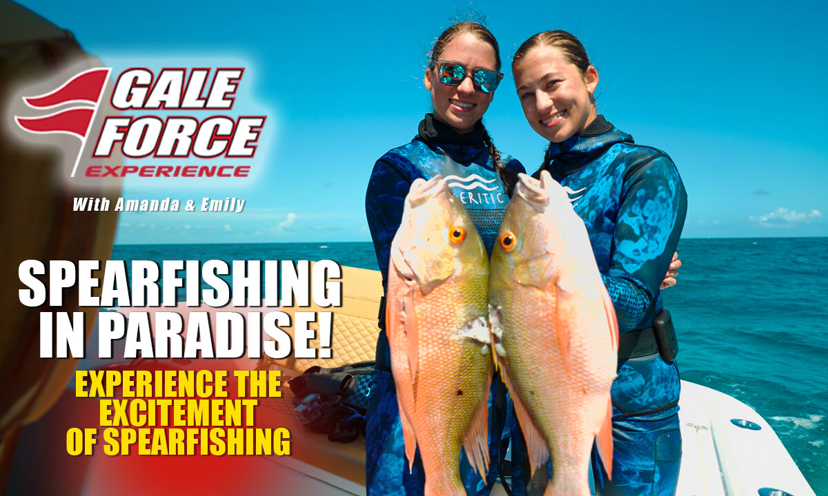 Spearfishing in Paradise!