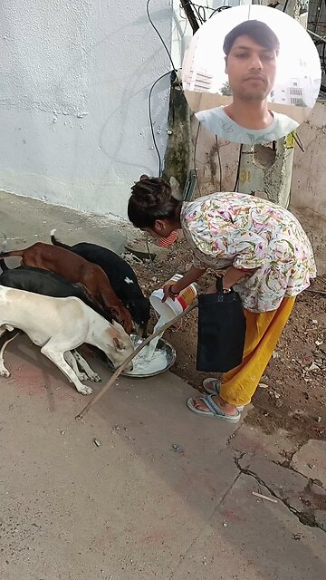 jivdaya mehsana youtube channel