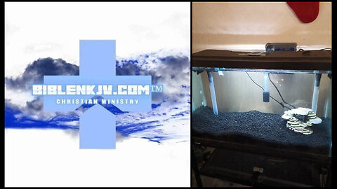 BIBLENKJV.COM™ 🛐 THE NEW SETUP #FISHCAM