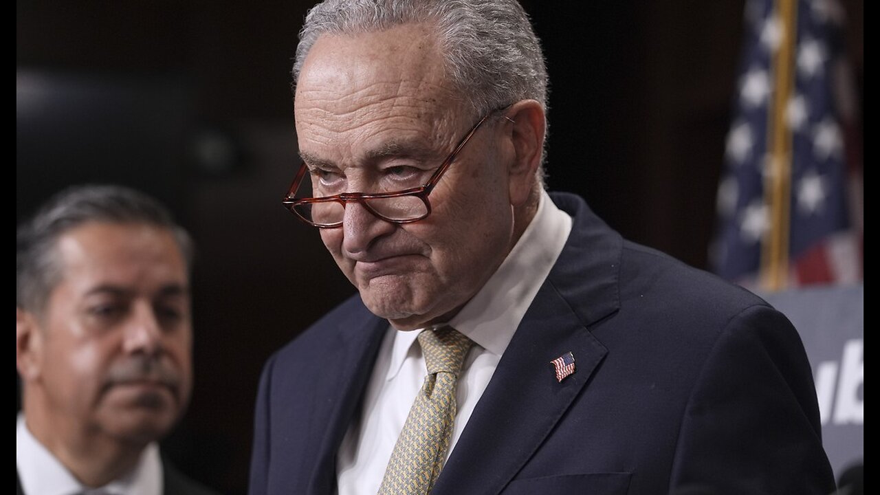 Watch Schumer Trots Out 'A Matter of Life and Death' Trope in Defense of Taxpayer