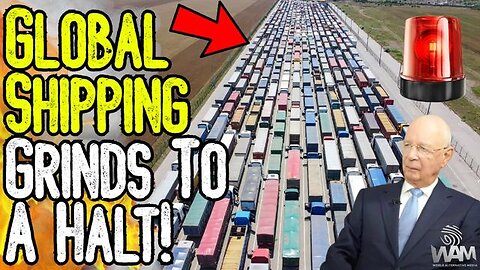 EMERGENCY: GLOBAL SHIPPING GRINDS TO HALT! Net Zero Meat Bans & Panic Buying Imminent!