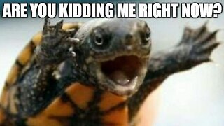 Detroit Police Officer And Sergeant Face Firing For Breaking Policy And Tipping Off CBP