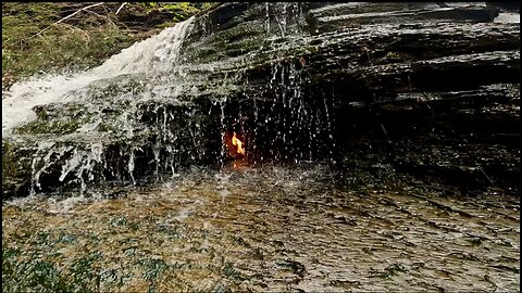 Short Hikes in NY | Chestnut Ridge Park |Orchard Park, NY (Eternal Flame Falls)