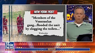 Gutfeld Roasts Everyone