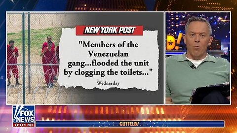 Gutfeld Roasts Everyone
