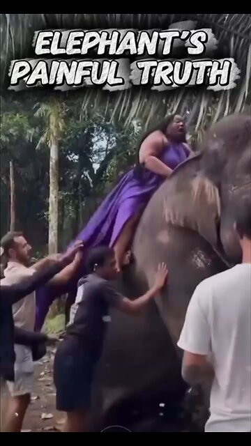 Elephant's painful Trsuth