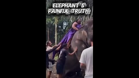 Elephant's painful Trsuth