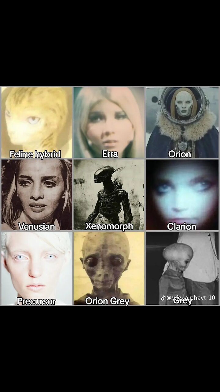 Above Majestic Documentary Part 2. )