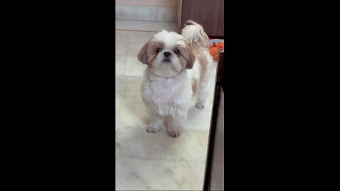 जीना हराम कर रखा है मेरा