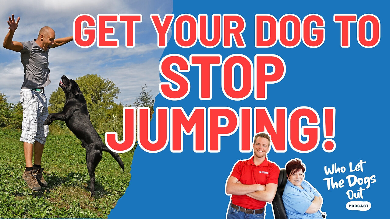 Re-Run: 9 Ways to Get Your Dog to STOP Jumping 🐶 — Dog Talk Ep. 072