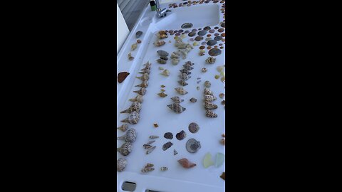 Beach Finds 6/26/2025 | 4K
