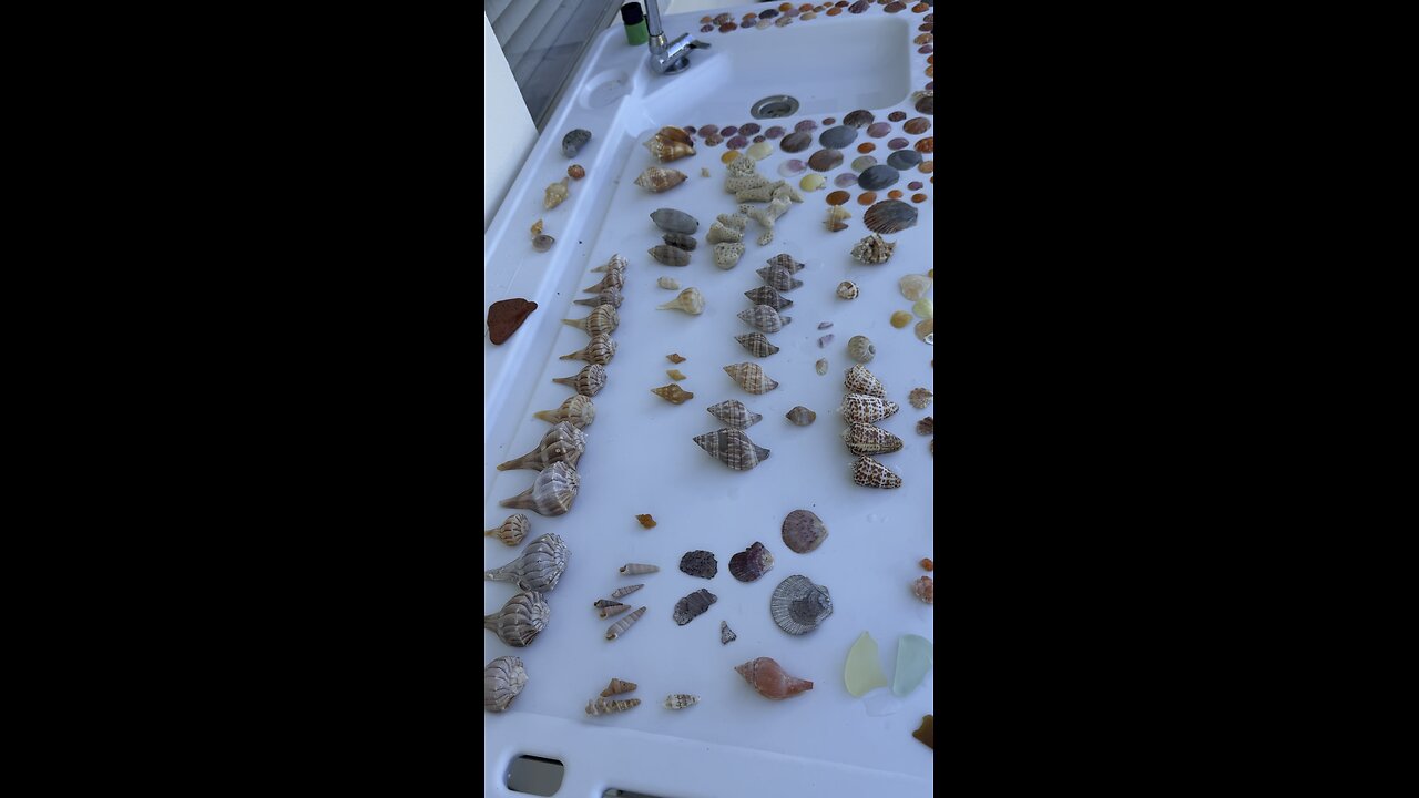 Beach Finds 6/26/2025 | 4K