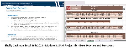 Shelly Cashman Excel 365/2021 | Module 3: SAM Project 1b | Sales Dart Services