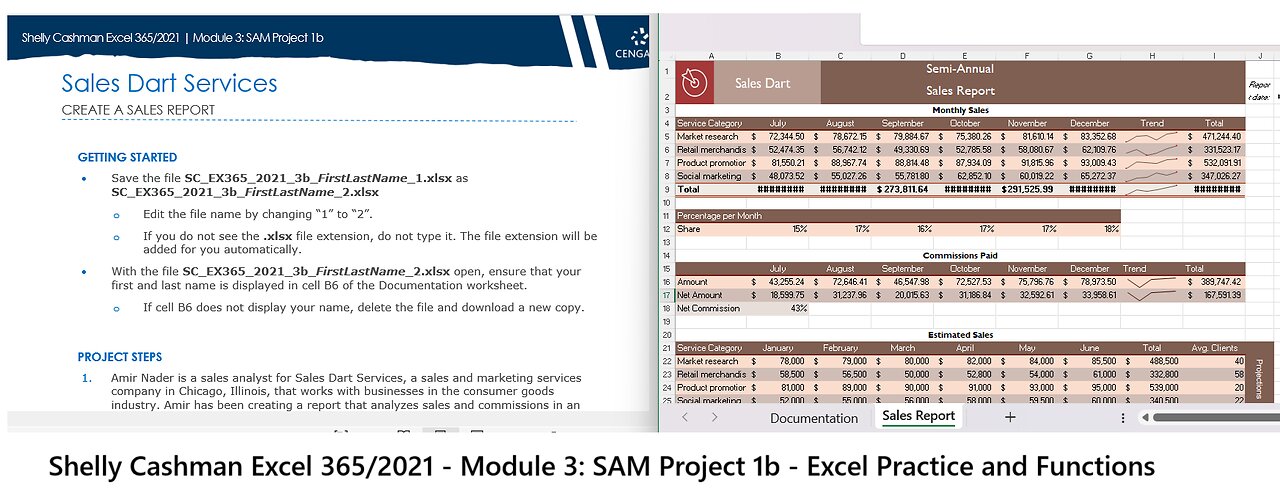 Shelly Cashman Excel 365/2021 | Module 3: SAM Project 1b | Sales Dart Services