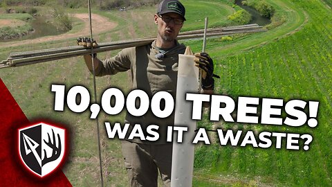 10,000 Trees! Was It a WASTE?