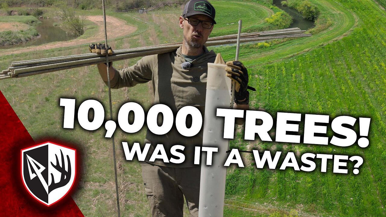 10,000 Trees! Was It a WASTE?