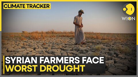 Climate Change & Drought Threaten Wheat Production in Syria | WION Climate Tracker