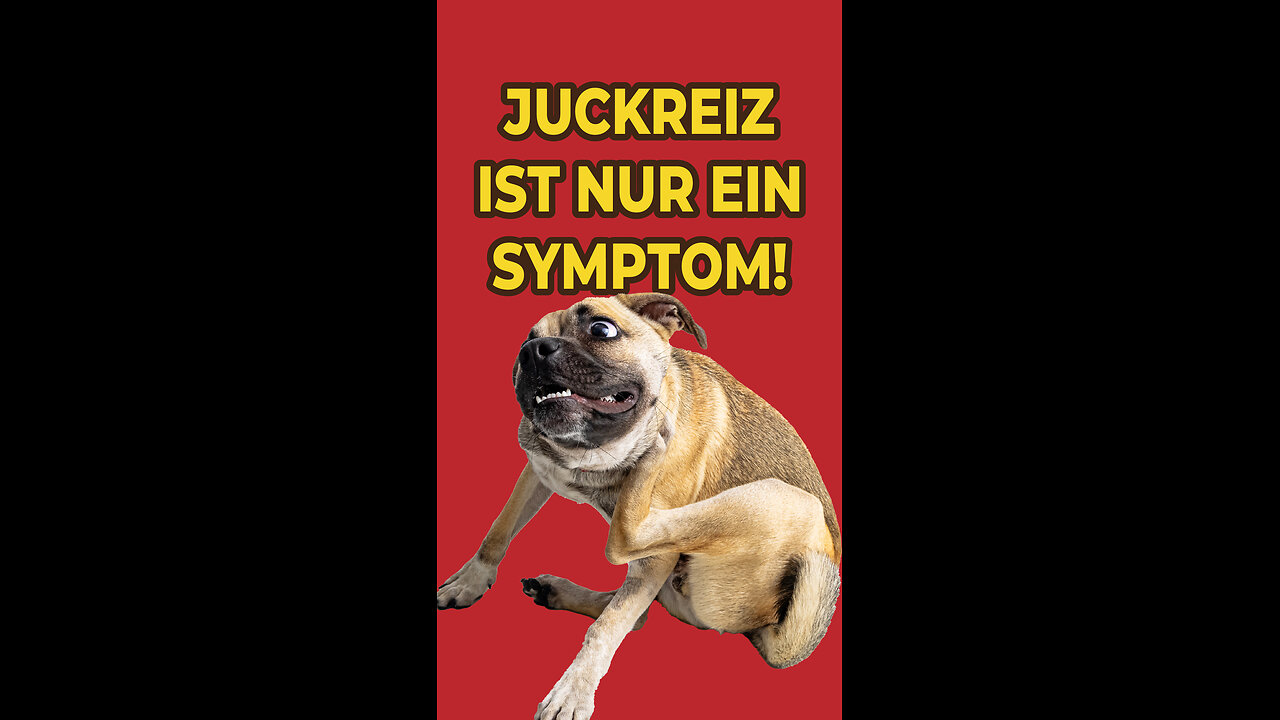 Juckreiz ist nur ein Symptom!