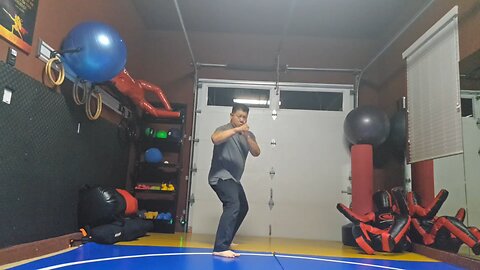 WTD Crescent Kick to Oblique Kick sequential