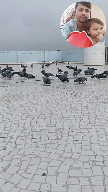 jain dharam parthsala bharatiya shashkar jivdaya mehsana YouTube short video