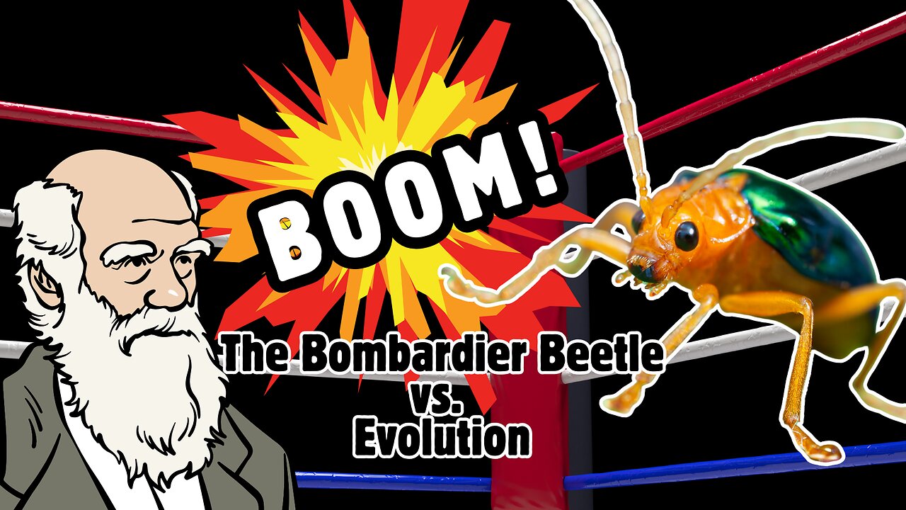 Bombardier Beetle Blows Up Evolution | Eric Hovind & Dr. Andy McIntosh | Creation Today Show #437
