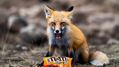 The honey roasted peanut M&Ms are meh