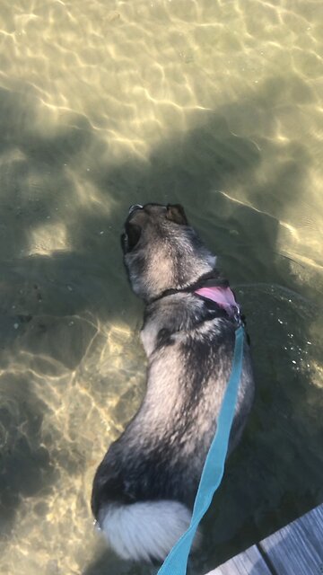 Sunday August 31, There are many rooms in my fathers house.