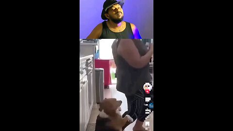 trynottolaugh must watch