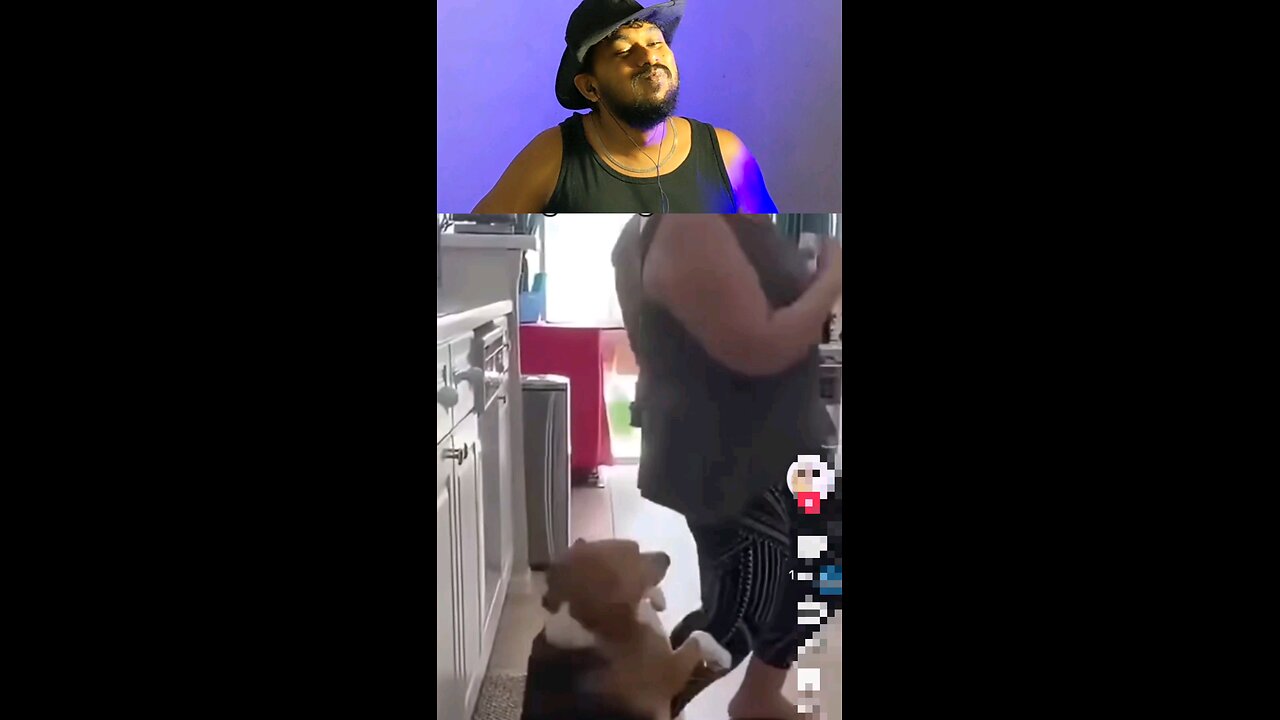 trynottolaugh must watch