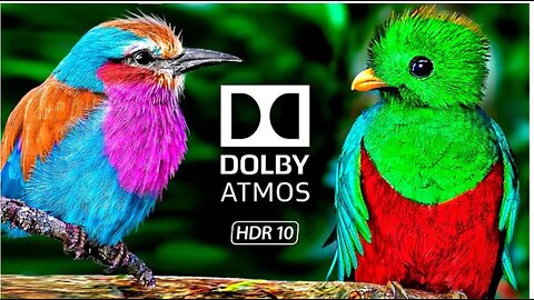 The MOST STUNNING BIRDS in 8K ULTRA HD 120 FPS 4K Video ULTRA HD #4K #BIRD #8K
