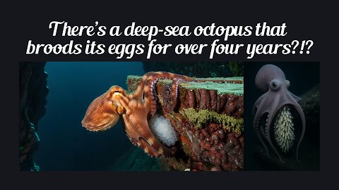Fun Fact for July 13th 2025 Pt 1
