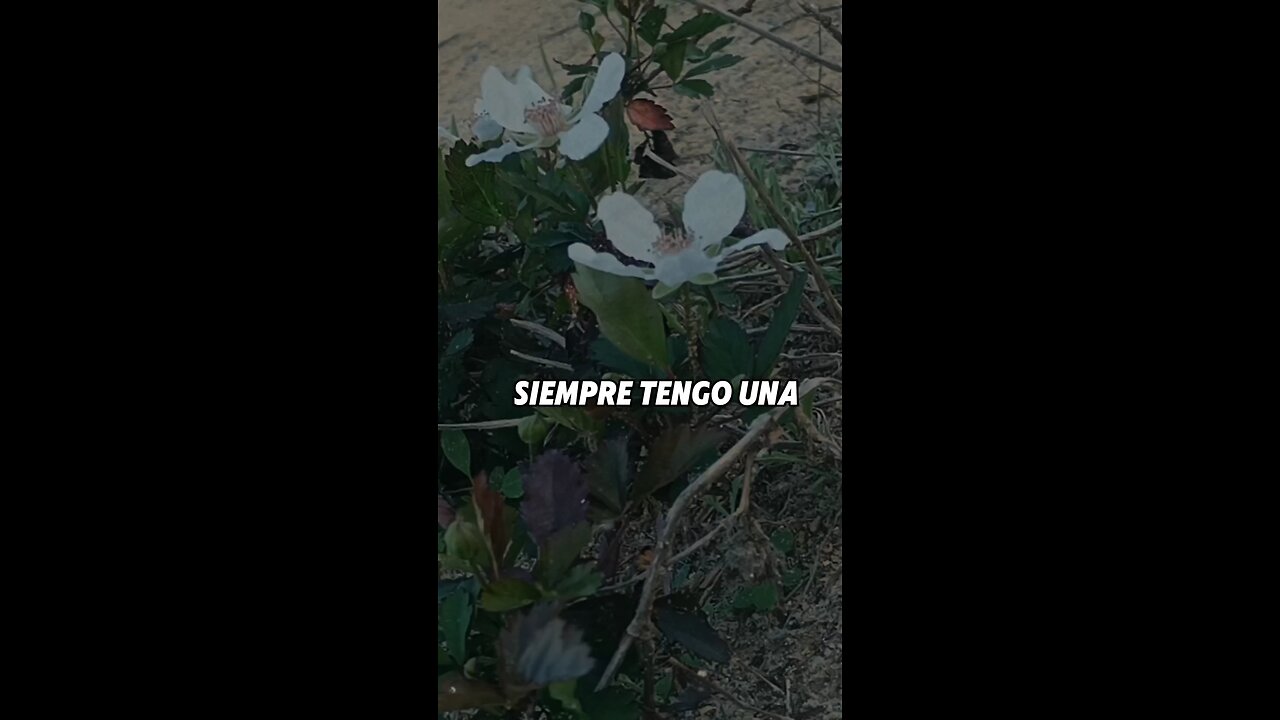 que más da