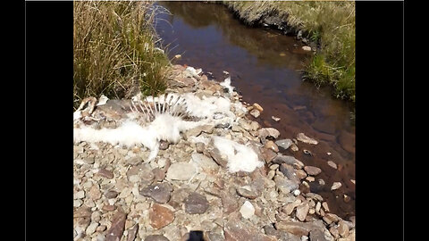 The cleanest water on Earth......until the hidden danger appears