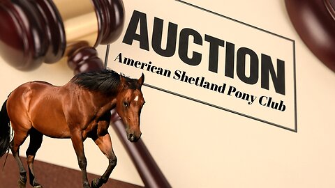 American Shetland Pony Club Auction 5/3/2025