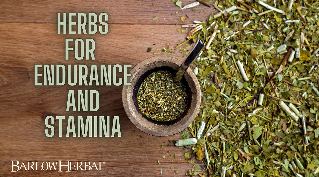 Corydceps, Reishi, Yerba mate and Beetroot - Powerhouse Combo!
