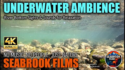 Underwater Ambience: River Bottom Sights and Sounds for Relaxation