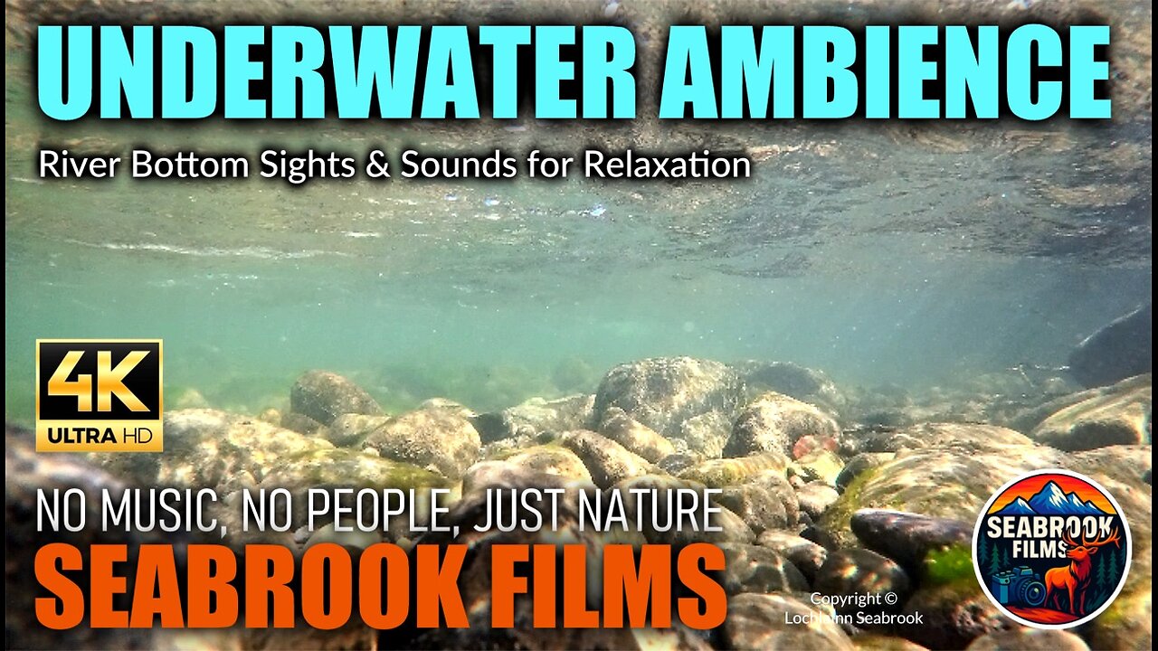 Underwater Ambience: River Bottom Sights and Sounds for Relaxation