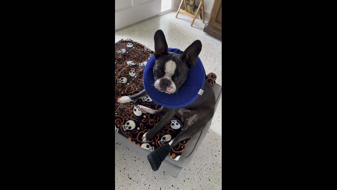 Hercules We Have A Problem! |4K