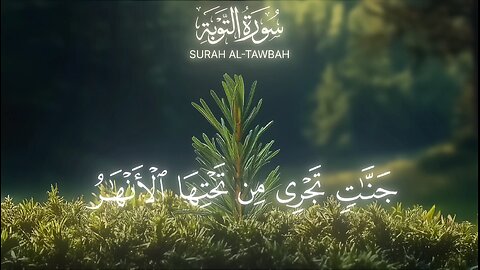 #القرآن_الكريم